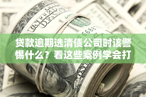 济南贷款逾期选清债公司时该警惕什么？看这些案例学会打翻身仗